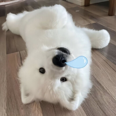 修猫修勾