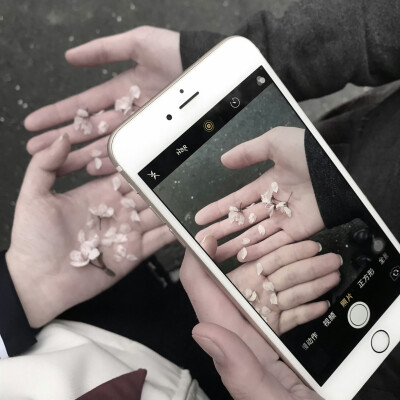 求求你了少侠～