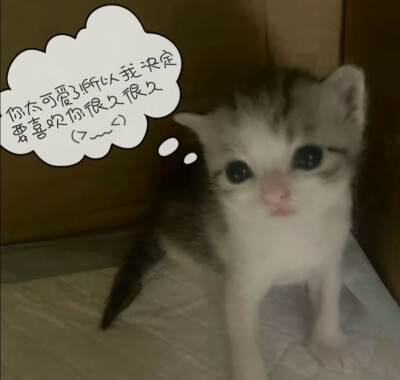 紧紧相依的心如何