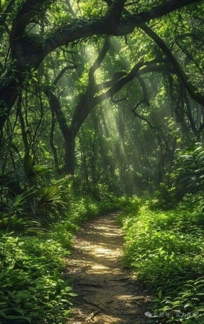 风景