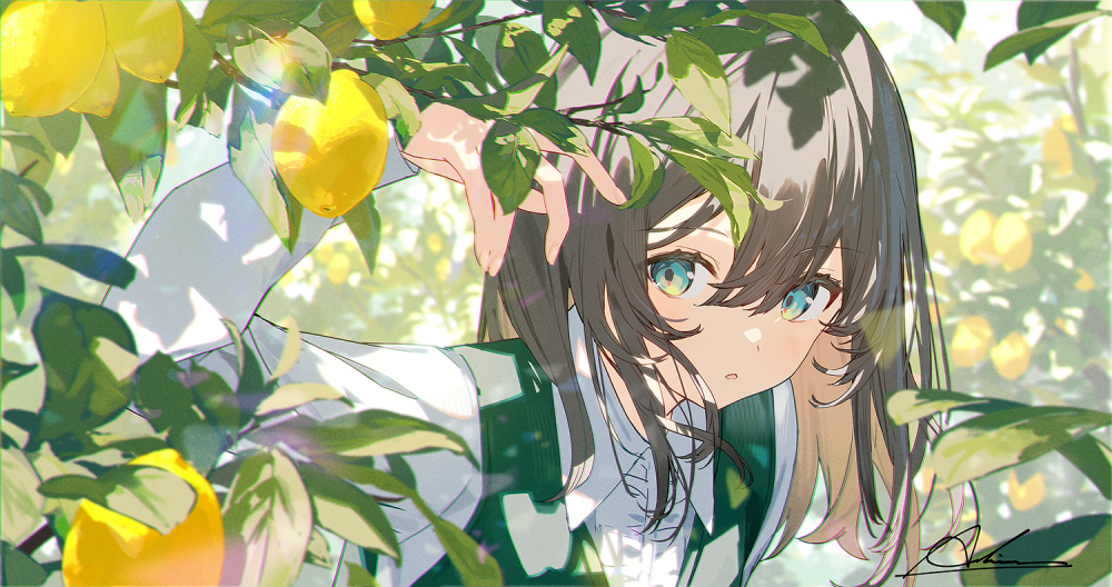 pixiv：アシマ/ Ashima