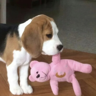 ☆