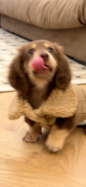 壁纸