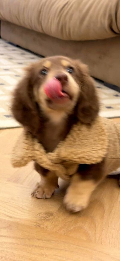 壁纸
