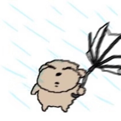 被诅咒的卷毛贵宾犬