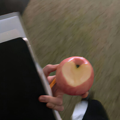 刘亦菲