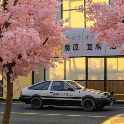 Pink背景图