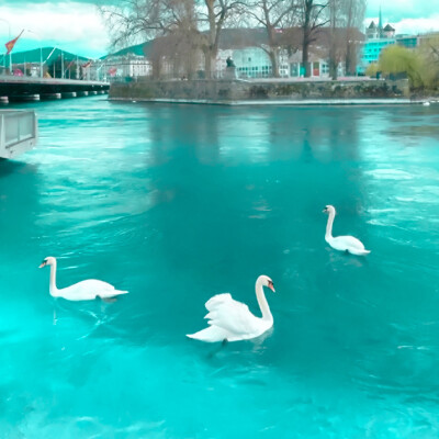 Lovely echo* 薄荷糖纸(少女的夏日梦) …