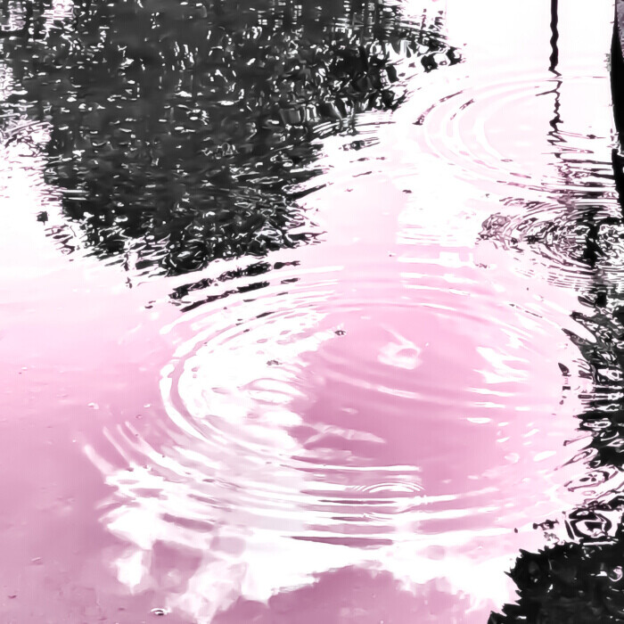 
“ 自由和快乐应该永远被置顶。 ”