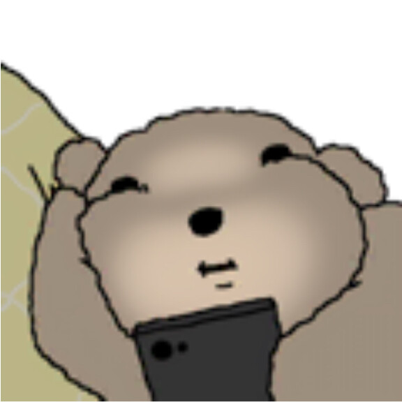 被诅咒的卷毛贵宾犬