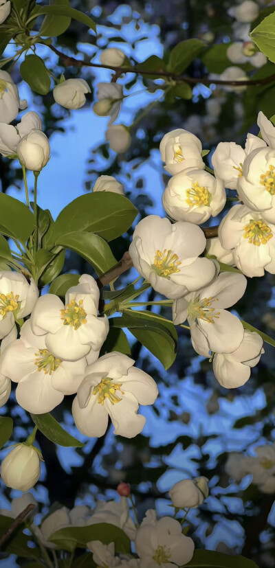 ios26裸眼3D壁纸风景壁纸手机壁纸图源网络