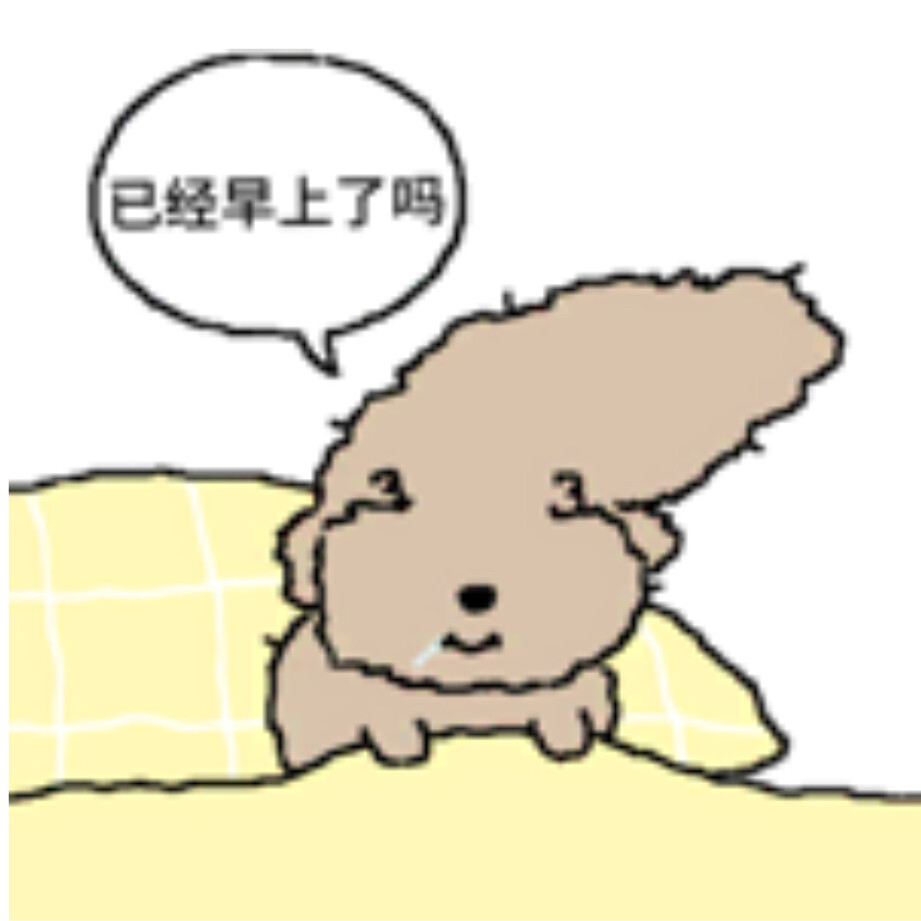 被诅咒的卷毛贵宾犬