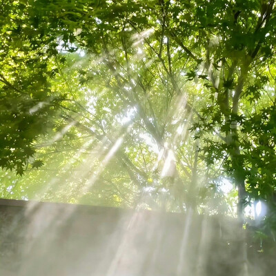 背景图