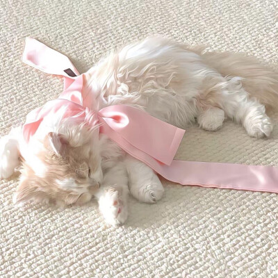 Pink背景图