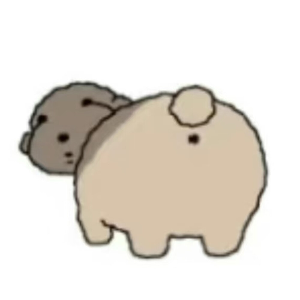 被诅咒的卷毛贵宾犬