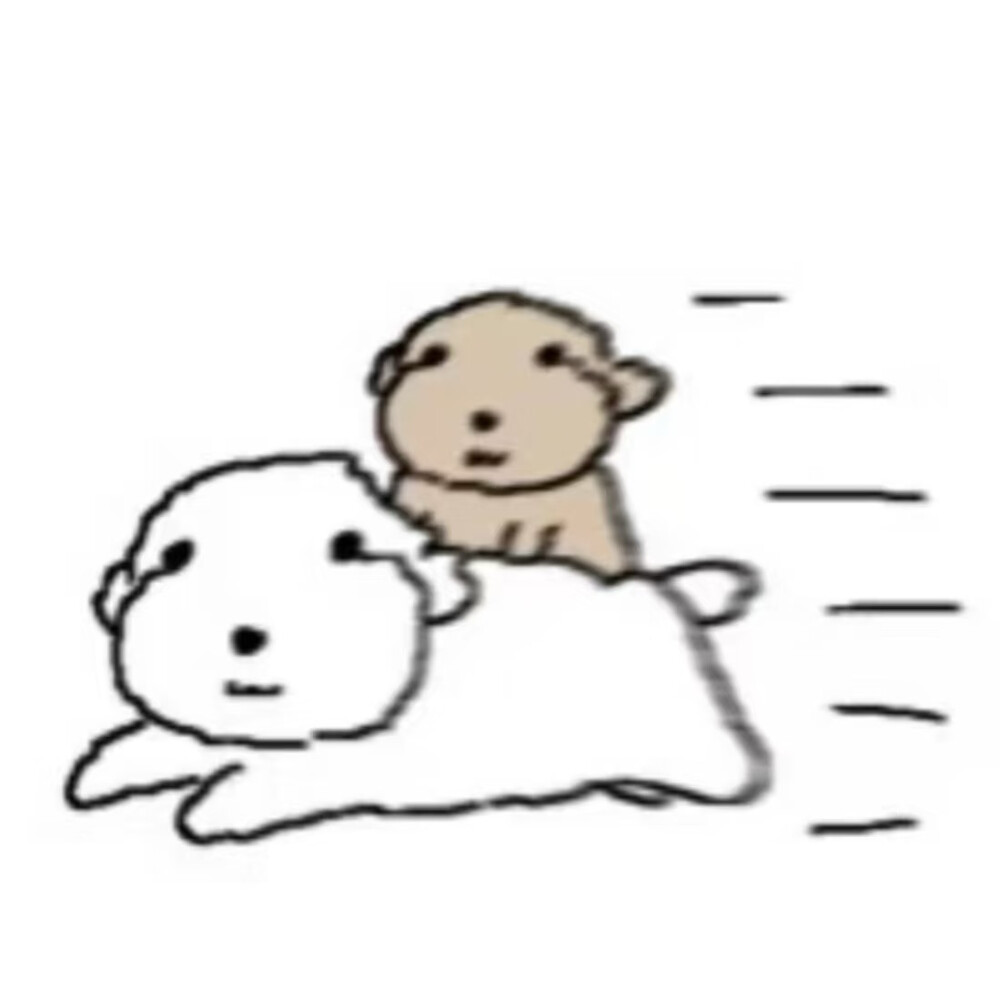 被诅咒的卷毛贵宾犬