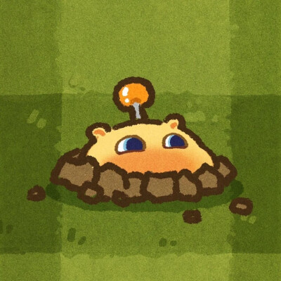 好看