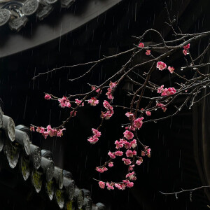 背景图