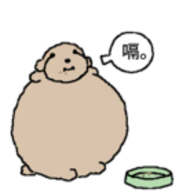 被诅咒的卷毛贵宾犬