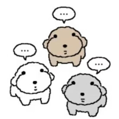 被诅咒的卷毛贵宾犬
