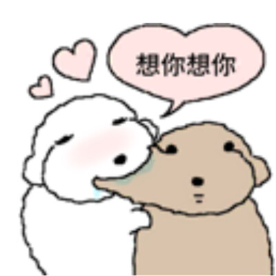 被诅咒的卷毛贵宾犬