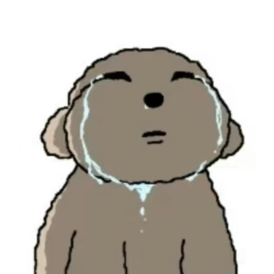 被诅咒的卷毛贵宾犬