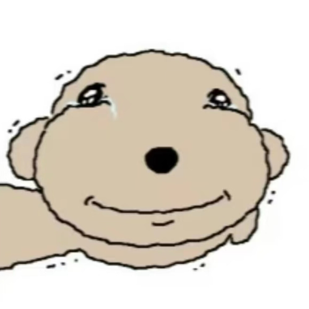 被诅咒的卷毛贵宾犬