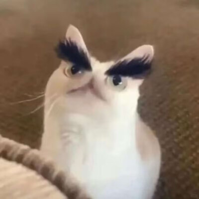 .