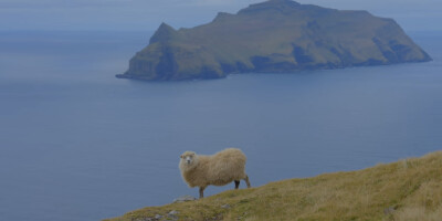 别人眼中的世界