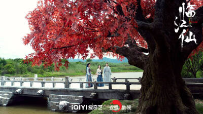 临江仙 白鹿 饰 李青月/花如月