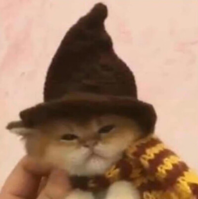 咪