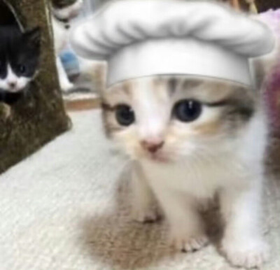 萌哟( ̀⌄ ́)