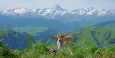 别人眼中的世界