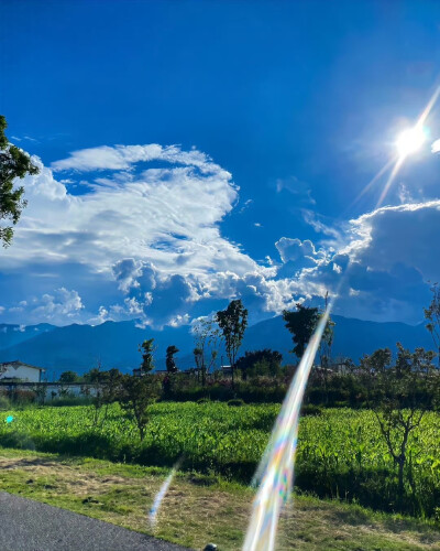 背景图