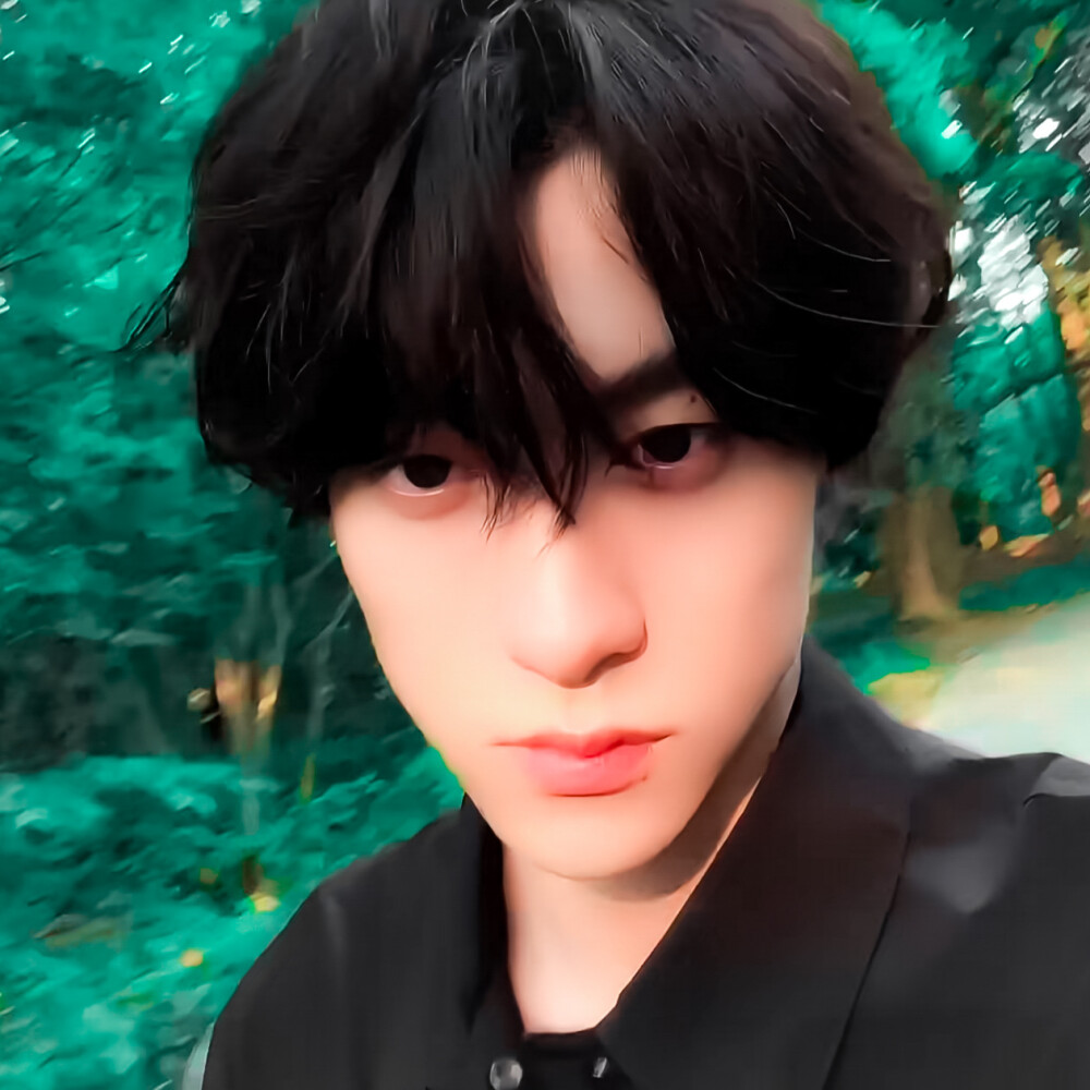 走过园下常青树+!/L'été Arrivée夏日来临♡↗