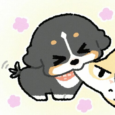 自用