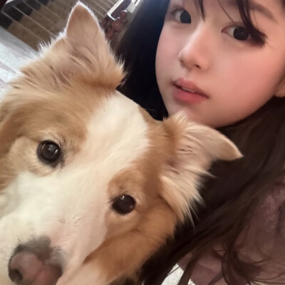 dt陈皓霖