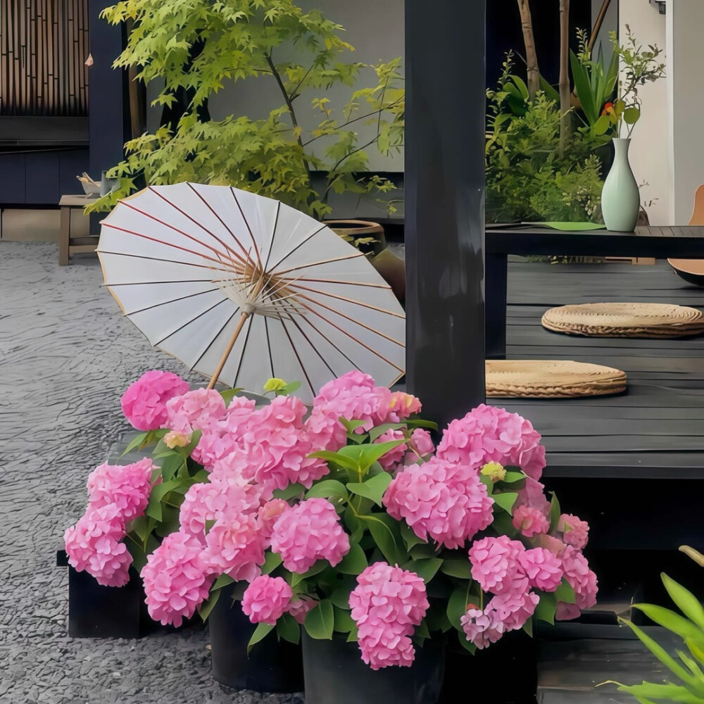 图源ks：偷喝汽水