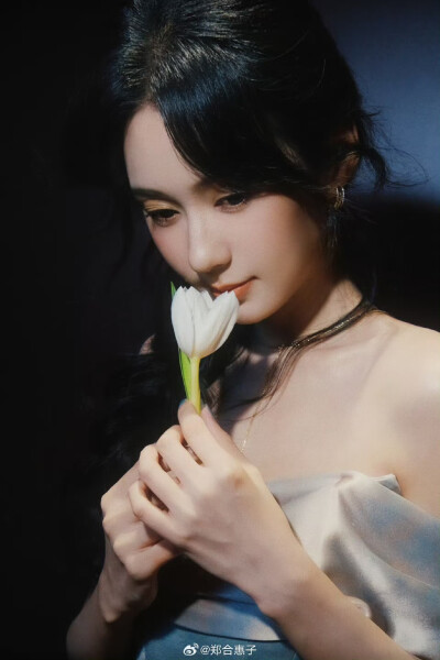 郑合惠子