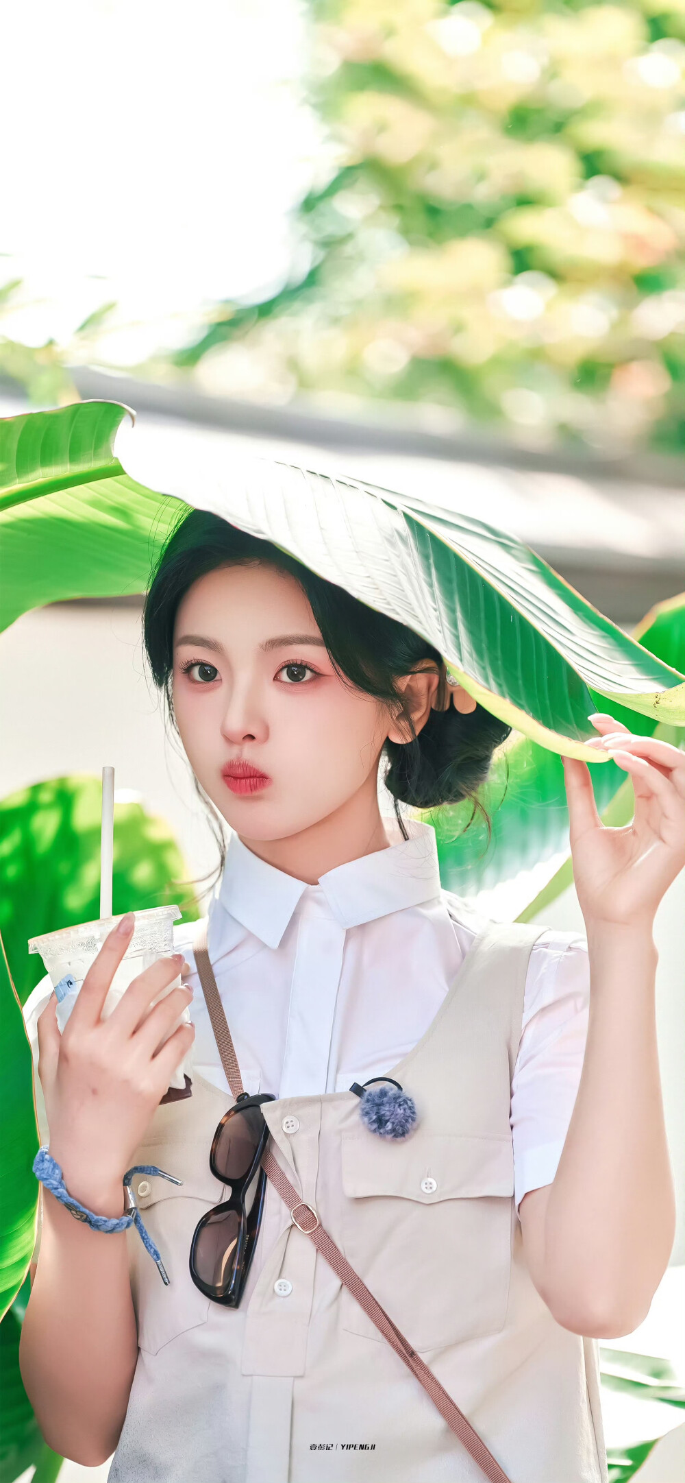 壁纸