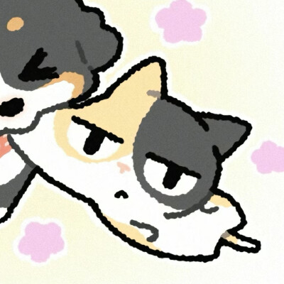 自用