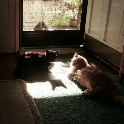 Nanの氛围感朋友圈搭配集