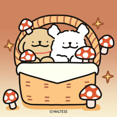 小狗送来秋天的思念