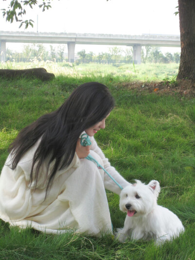 陈都灵