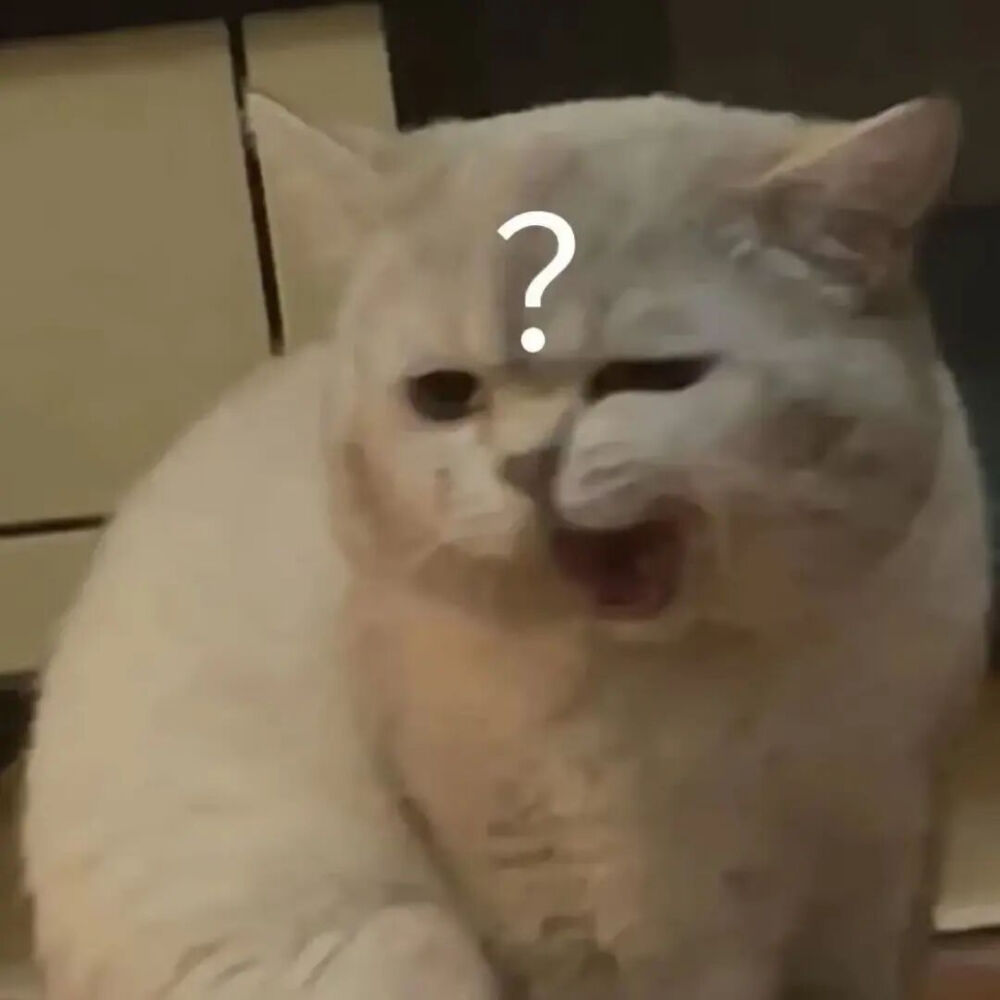 猫猫表情包