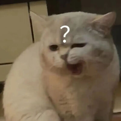 猫猫表情包