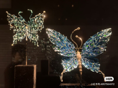 璀璨-小红书转载