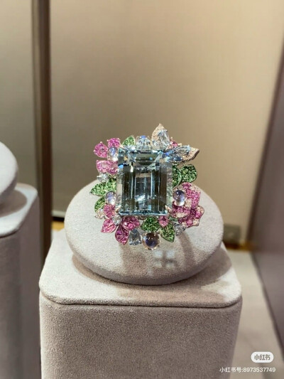 璀璨-小红书转载