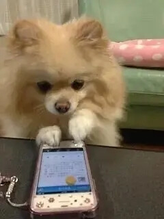 女生头像