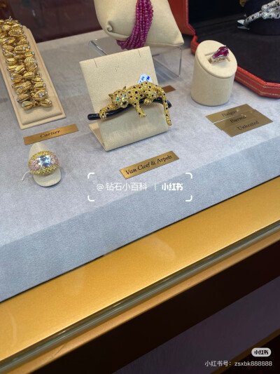 璀璨-小红书转载